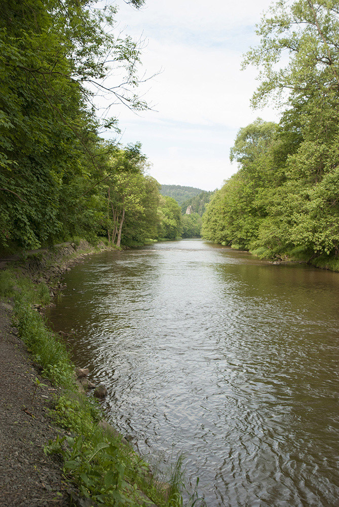 Stezka v úseku Líšný - Malá Skála těsně kopíruje tok řeky